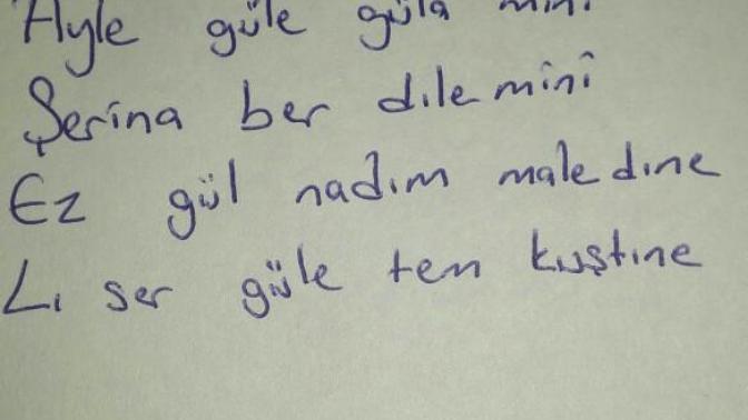Sizde sever misiniz?