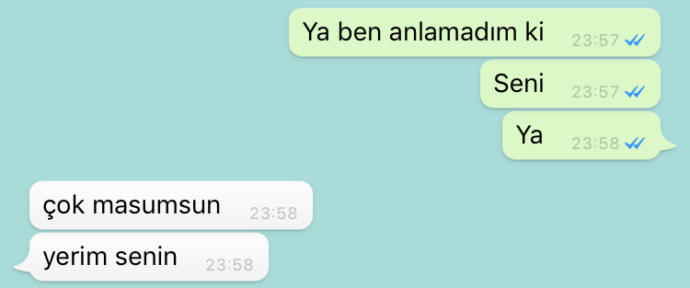 Ya erkek arkadaşım ne demek istiyor ben anlamadım kendimi afedersiniz mal gibi hissettim?