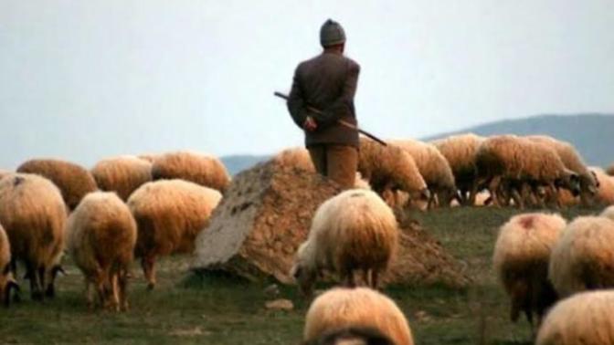 Toplum tarafından hor görülen, küçümsenen meslekler neler?