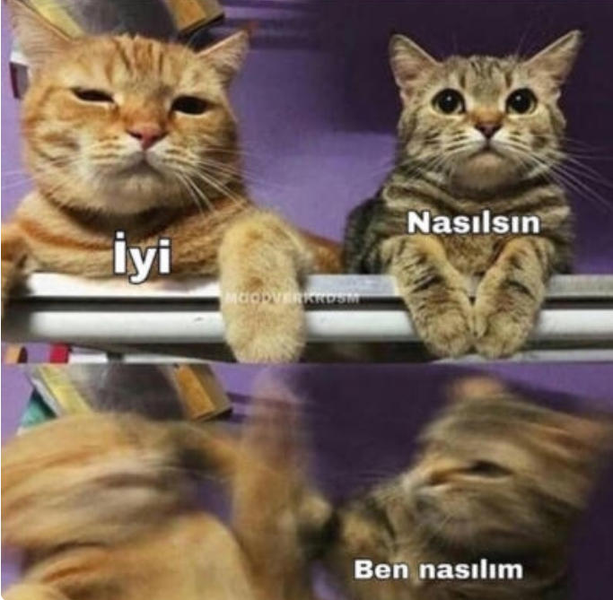 Nasılsın sorusuna sadece iyiyim deyip karşısındakinin halini sormayanlar nasılsınız?