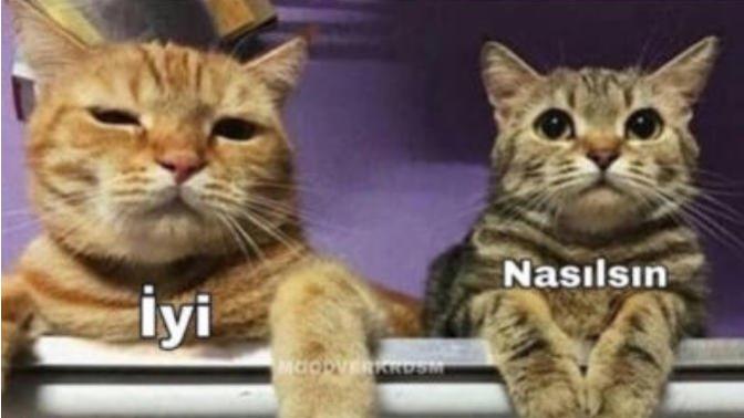 Nasılsın sorusuna sadece iyiyim deyip karşısındakinin halini sormayanlar nasılsınız?