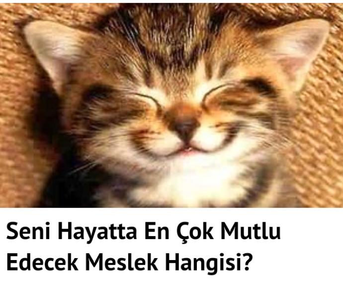 Seni En Mutlu Edecek Meslek Hangisi?