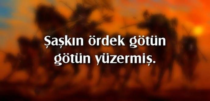 Küfürlü atasözlerini günlük hayatta kullanır mısınız?