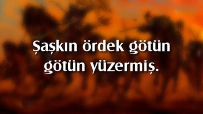 Küfürlü atasözlerini günlük hayatta kullanır mısınız?