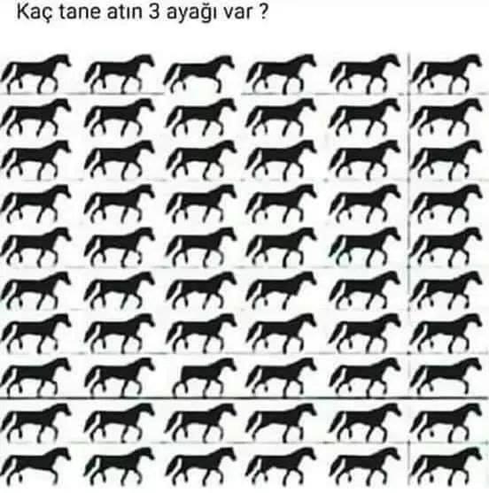 Kaç tane atın 3 ayağı var 😅😅?
