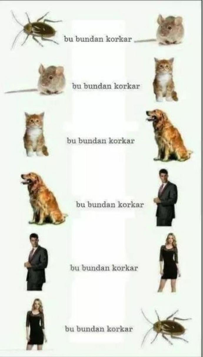 En çok nelerden korkarsınız?