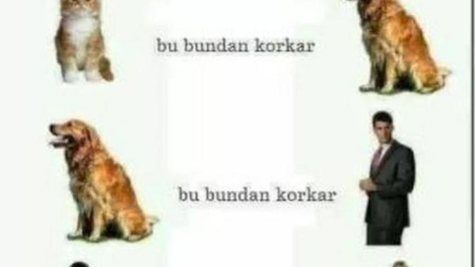 En çok nelerden korkarsınız?