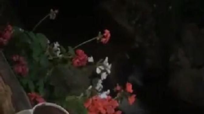 Saat kaçta eve gelirsiniz?