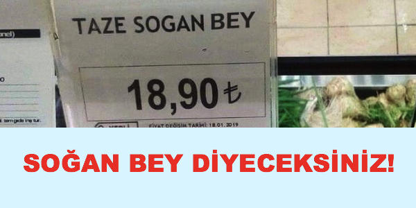 Yeşil soğan hangi renktir?