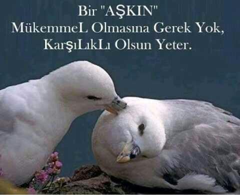 Bir Aşkın Mükemmel Olmasına Gerek Yok, Karşılıklı Olsun Yeter?