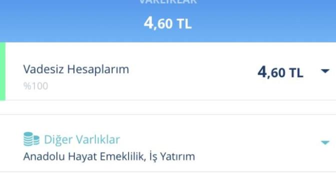 Arkadaşlar yatırımımı neye yapmalıyım? Sizce de çok zengin değil miyim?