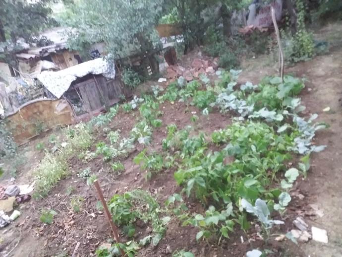 Bahcemin biraz daha büyük hali 