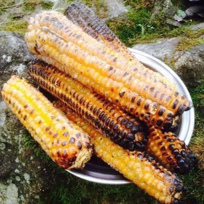 Közdemi misir suda mi misir sizce?
