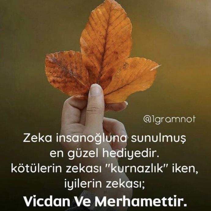 Size yapilan iyilik veya kötülükleri unutur musunuz?