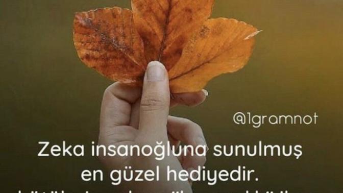 Size yapilan iyilik veya kötülükleri unutur musunuz?