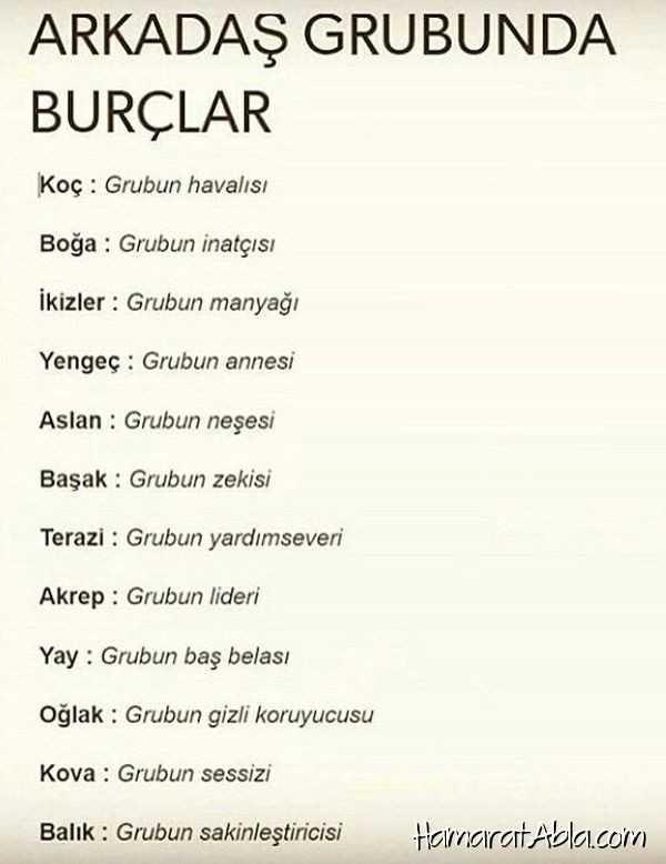 Arkadaş grubunda burçlar sen hangisisin?