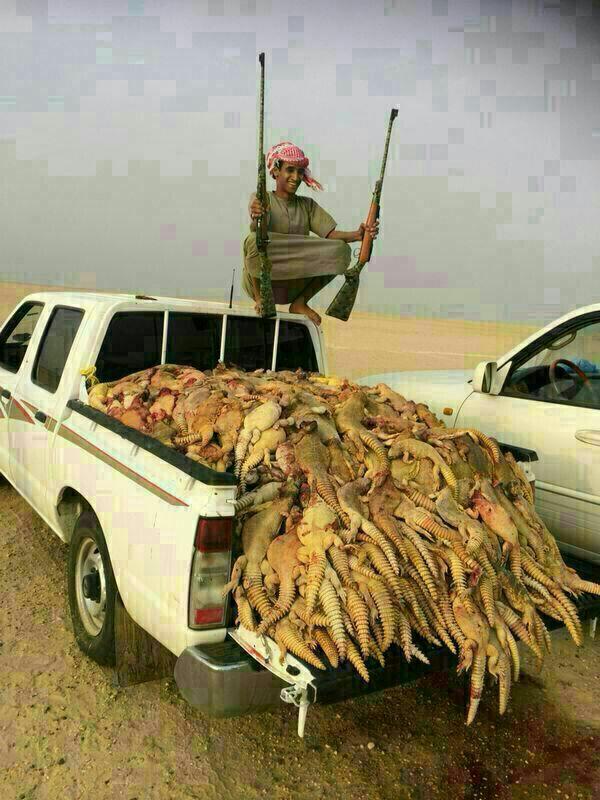 Arap yağı, Arap şampuanı kullanan var mı?
