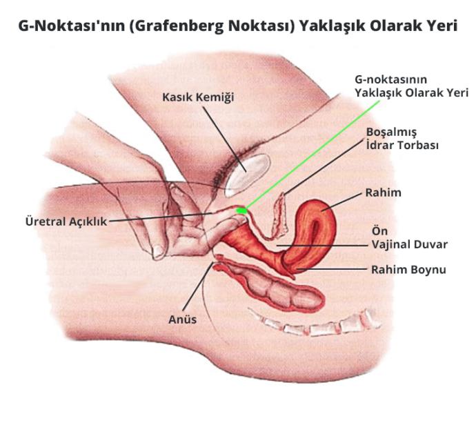 G noktasını keşfedebilen var mı?