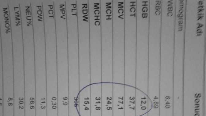 Doktor, hemsire veya saglik isinde calisanlar  bir  bakabilir mi?