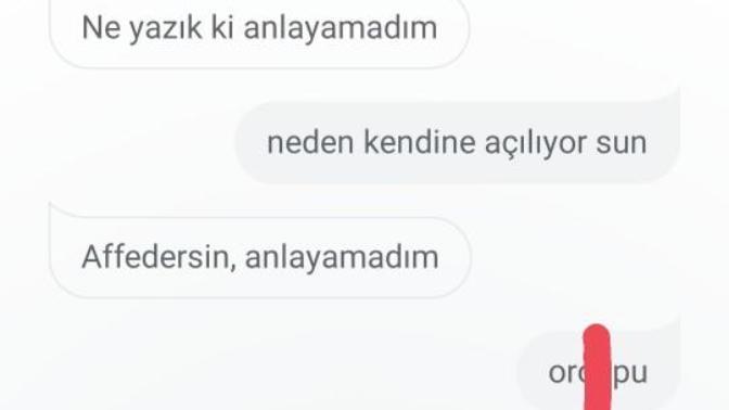 Google Asistan ya da Siri kullanıyor musunuz?