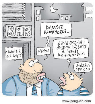 Bir Kadına " Dam" demek nedir yaa?