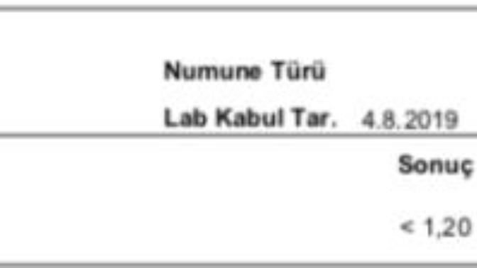 Hamile miyim acaba?