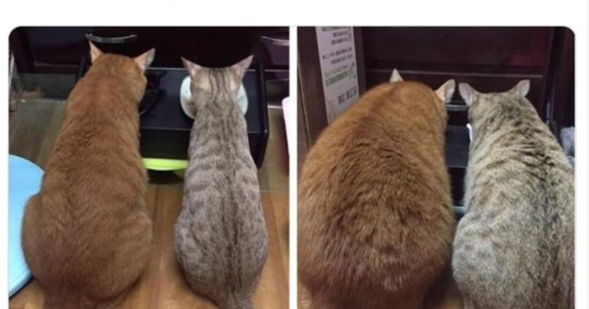 Evlendikten sonra kadınlar mı kilo alıyor erkekler mi? KizlarSoruyor