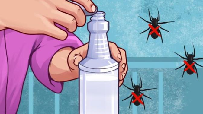 Yüksek tavanlı bir evde tavandaki örümcek ağları nasıl temizlenir?