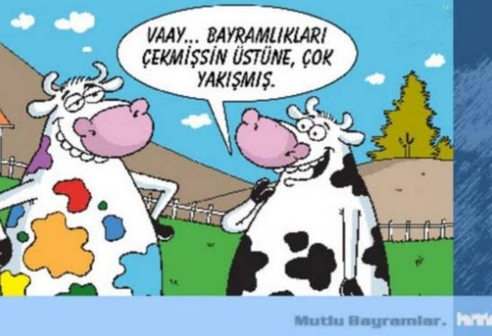 Kurban Bayramı yaklaşıyor, ne keseceksiniz?
