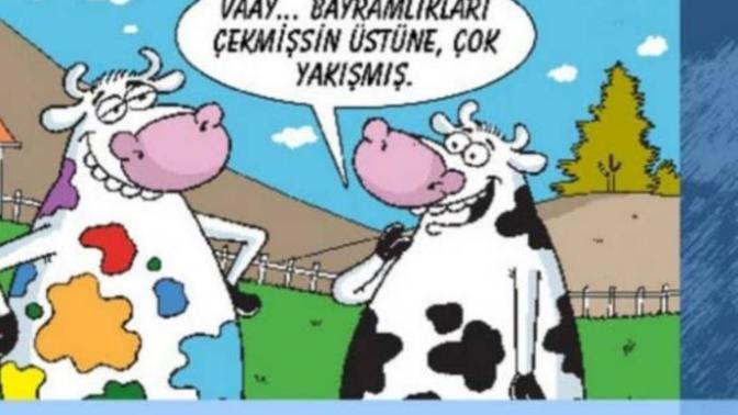 Kurban Bayramı yaklaşıyor, ne keseceksiniz?