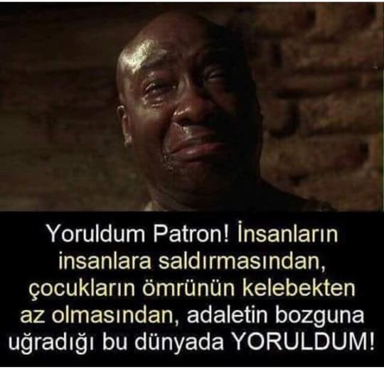 Yeşil yol filminde sizi en çok etkileyen replik hangisi?