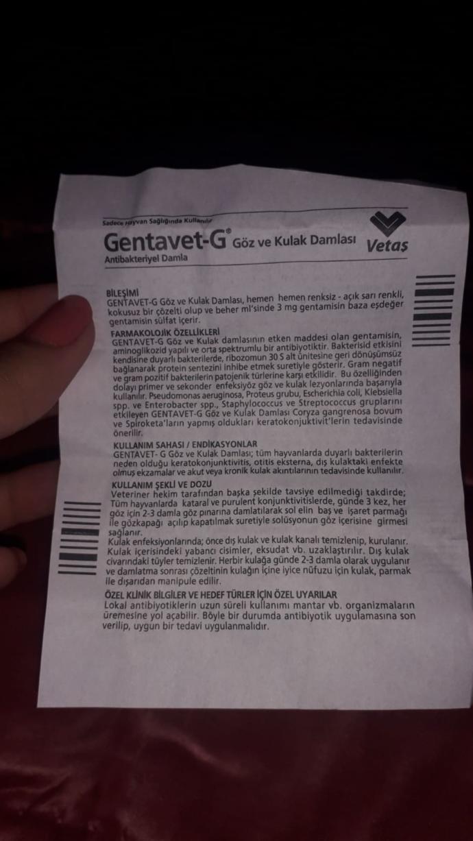 Kediler'de kullanılır mı?