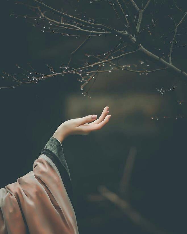 Birine 