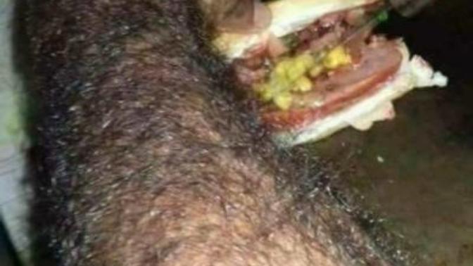 Tost Sever misiniz?
