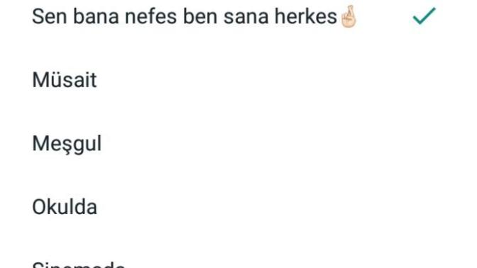 Whatsapp durumları?
