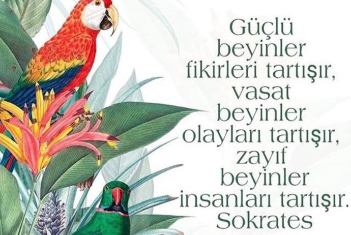 Kendi hayatlarını bırakıp başkalarının özelini ve yaptığı şeyleri takip eden kişiler hakkında ne düşünüyorsunuz?