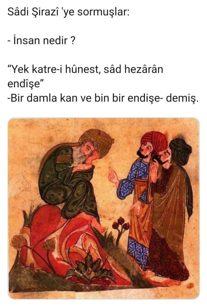 S. Ş ne demek istemiş?