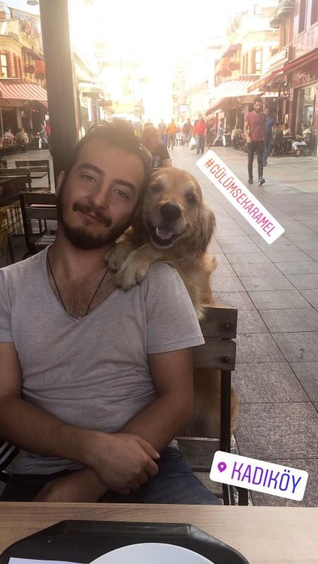 Kedici misiniz köpekci mi😺🐺?