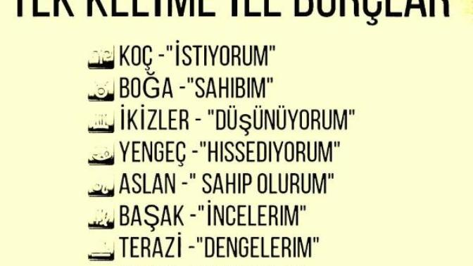 Tek kelime ile burçlar sen hangisisin?