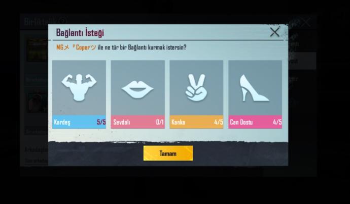 Pubg birliktelik nedir, nasıl yapılır? Pubg partner olma, partner gizleme yolu nedir?