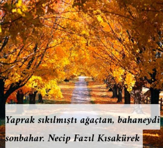 En sevdiğiniz mevsim hangisi?