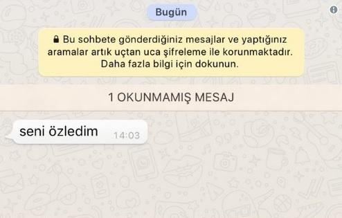 Özlemek ansızın mı gelir?