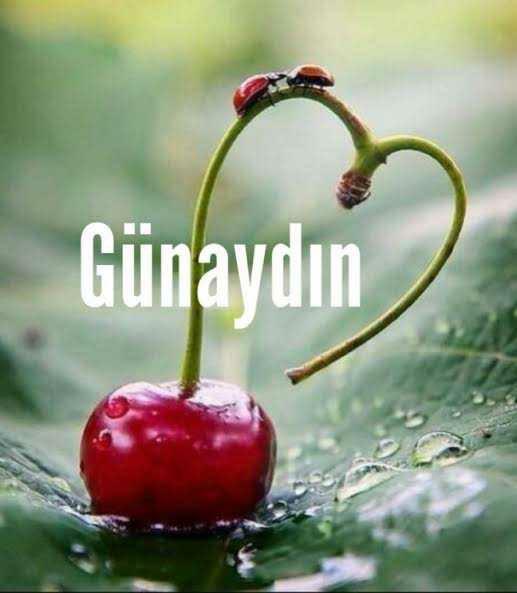 Günaydın herkese bu gün pazartesi.. ne olsaydı günün güzel geçerdi?