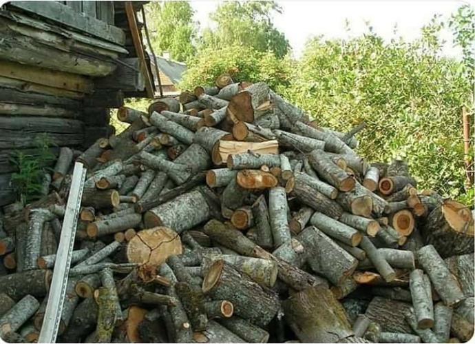 Resimdeki kediyi kaç saniyede buldunuz?