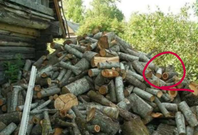Resimdeki kediyi kaç saniyede buldunuz?