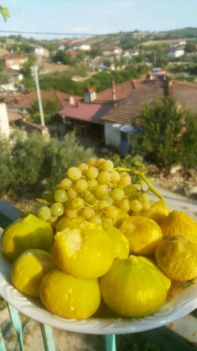 Yeni kopardım isteyen 🤔🙈?