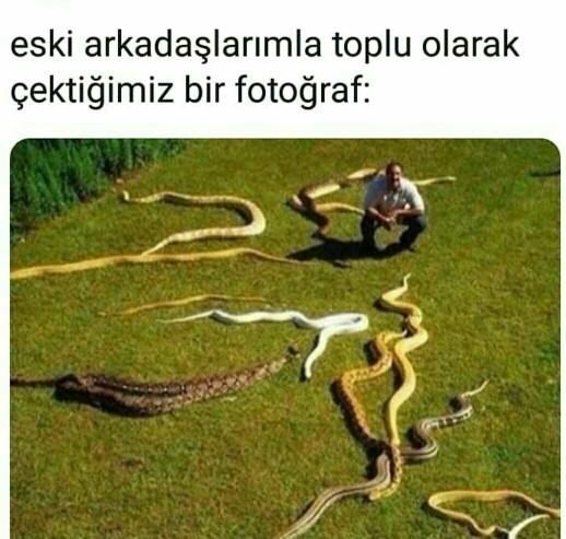 Koynunuz da kaç tane yılan besliyorsunuz?