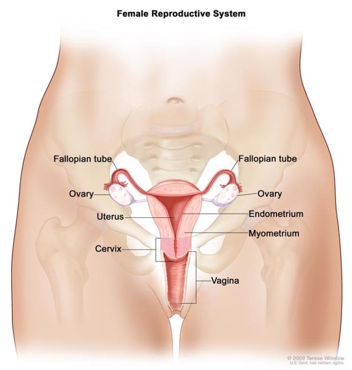 Tampon içimde kalmış olabilir mi?