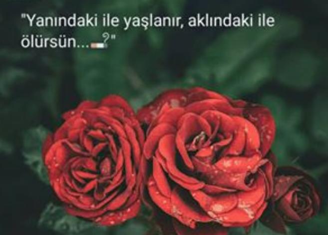 Partnerinizin sürekli yanında olmak mı yoksa aklında olmak mı isterdiniz?