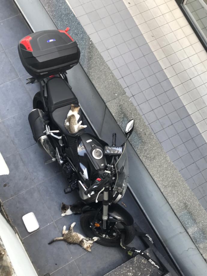 Kapınızın önüne bir kap su koyuyor musunuz? Bir kap su koyunca neler yaşanıyor görmek ister misiniz?